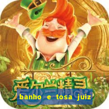 banho e tosa juiz de fora